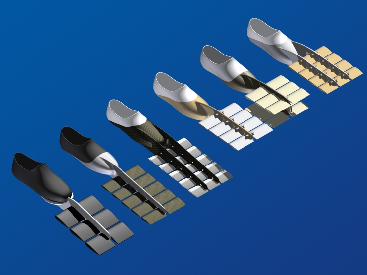 La palme  ailes 2G grande - Palmaile -