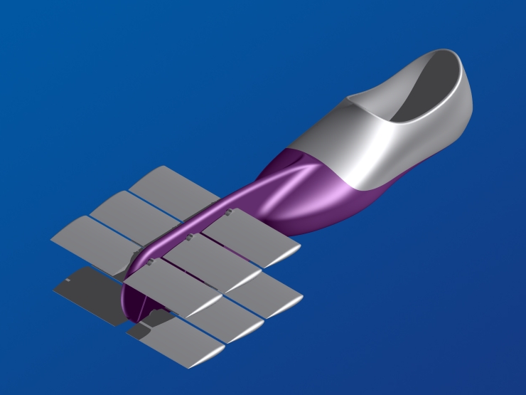 La palme  ailes 10 - Palmaile -