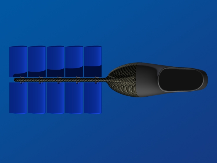 La palme  ailes 11 - Palmaile -