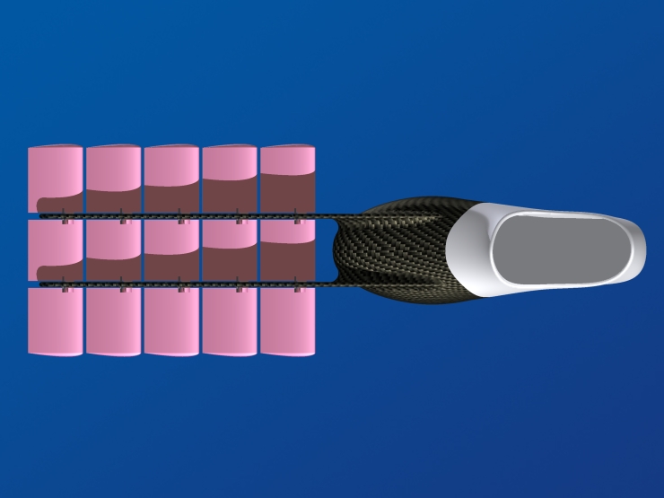 La palme  ailes 12 - Palmaile -