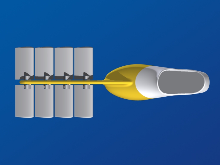 La palme  ailes 13 - Palmaile -