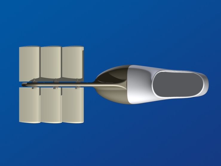 La palme  ailes 14 - Palmaile -