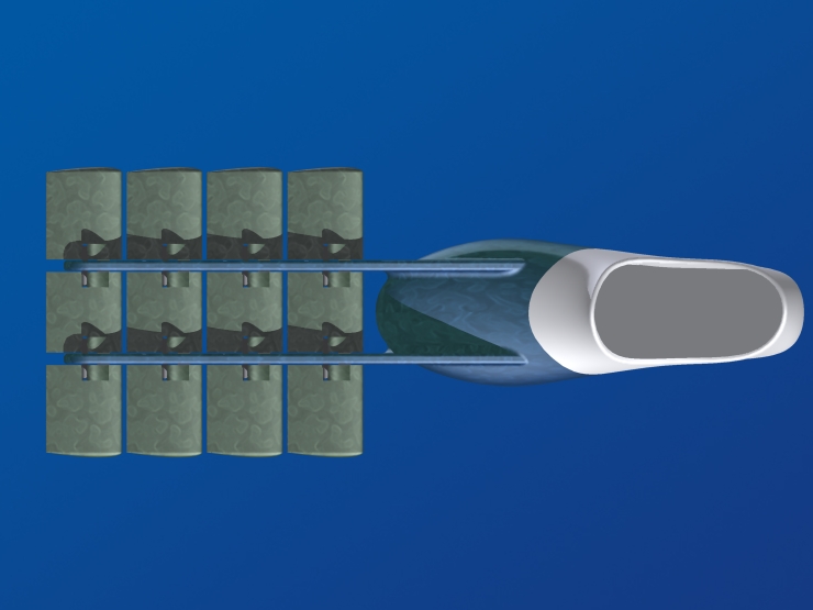 La palme  ailes 15 - Palmaile -