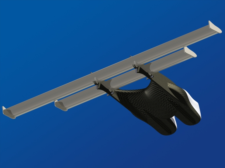 La palme  ailes 16 - Palmaile -