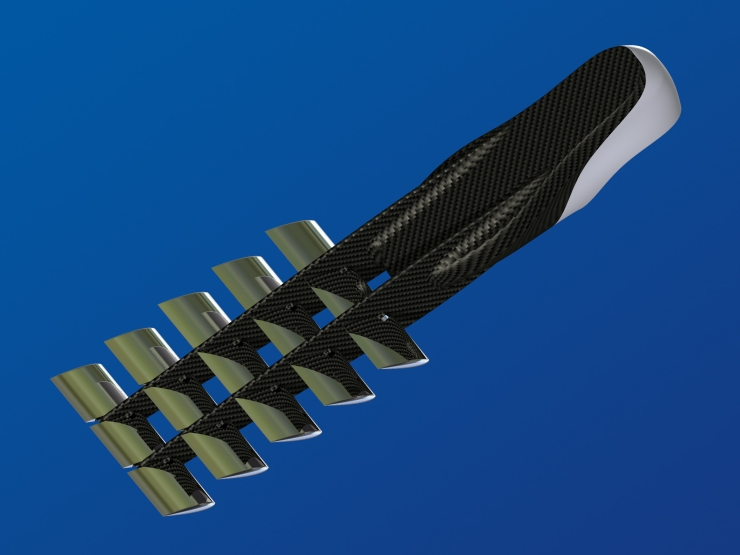 La palme  ailes 17 - Palmaile -