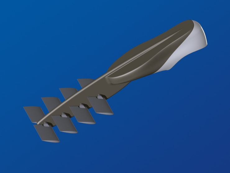 La palme  ailes 18 - Palmaile -