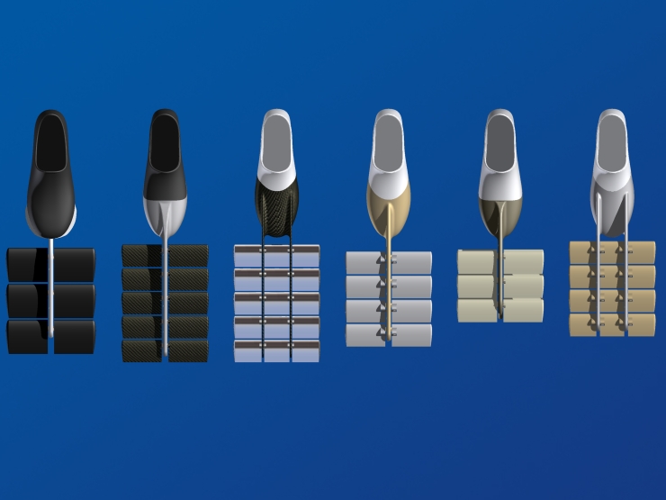 La palme  ailes 2 - Palmaile -