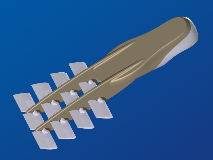 La palme  ailes 20 - Palmaile -