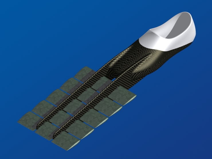 La palme  ailes 22 - Palmaile -