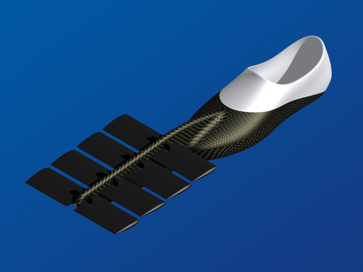 La palme  ailes 23 - Palmaile -