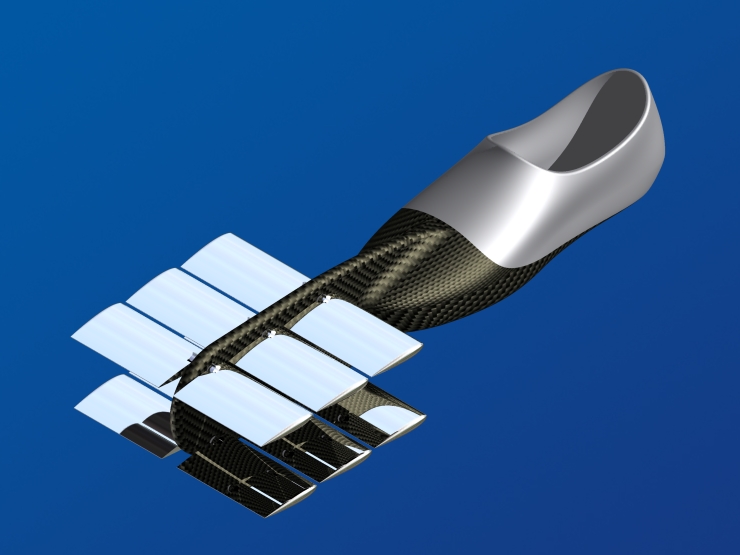 La palme  ailes 24 - Palmaile -