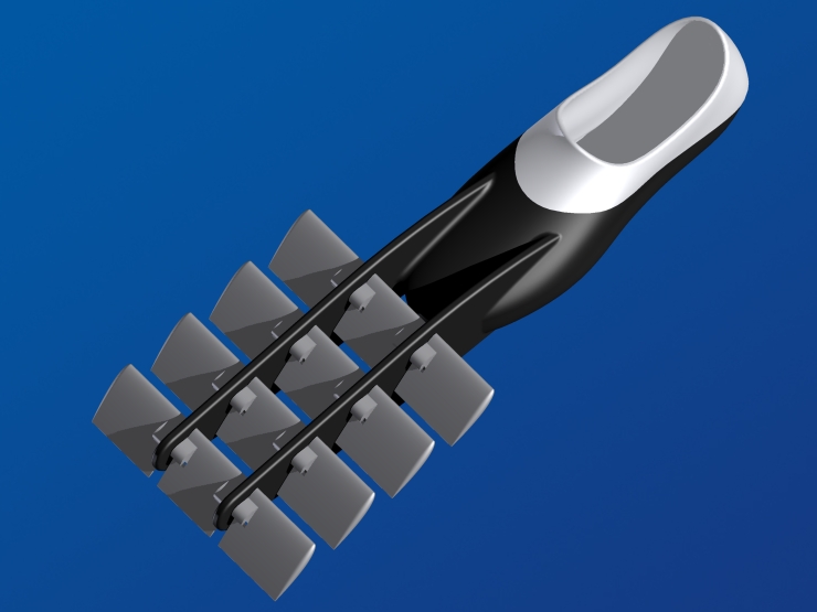 La palme  ailes 25 - Palmaile -