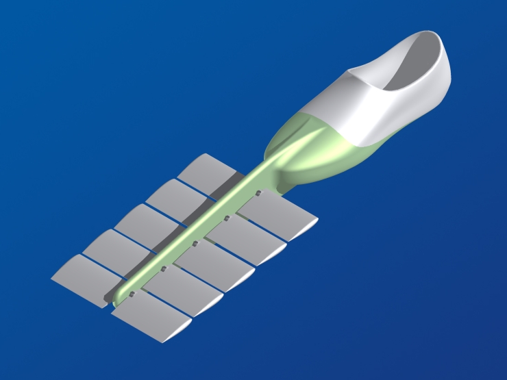 La palme  ailes 26 - Palmaile -