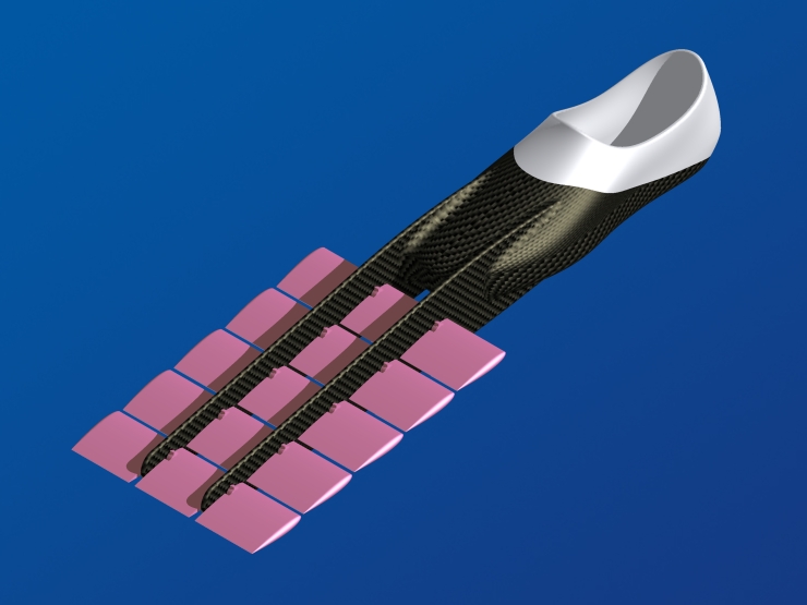 La palme  ailes 27 - Palmaile -