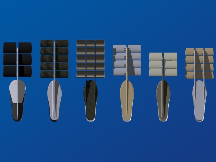 La palme  ailes 3 - Palmaile -