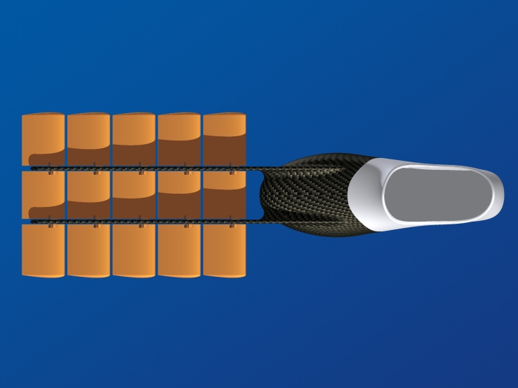 La palme  ailes 32 - Palmaile -