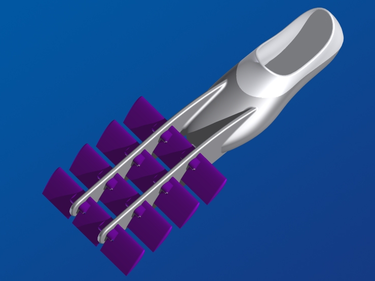 La palme  ailes 35 - Palmaile -