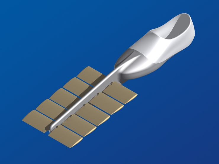 La palme  ailes 36 - Palmaile -