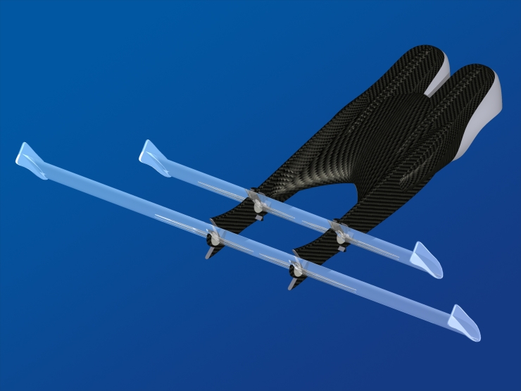 La palme  ailes 37 - Palmaile -