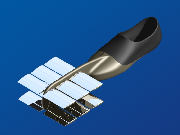 La palme  ailes 39 - Palmaile -