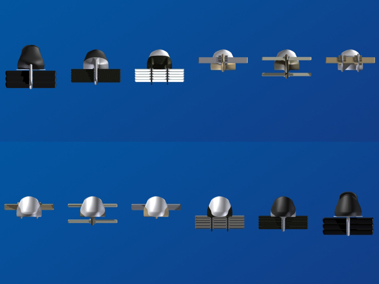 La palme  ailes 4 - Palmaile -