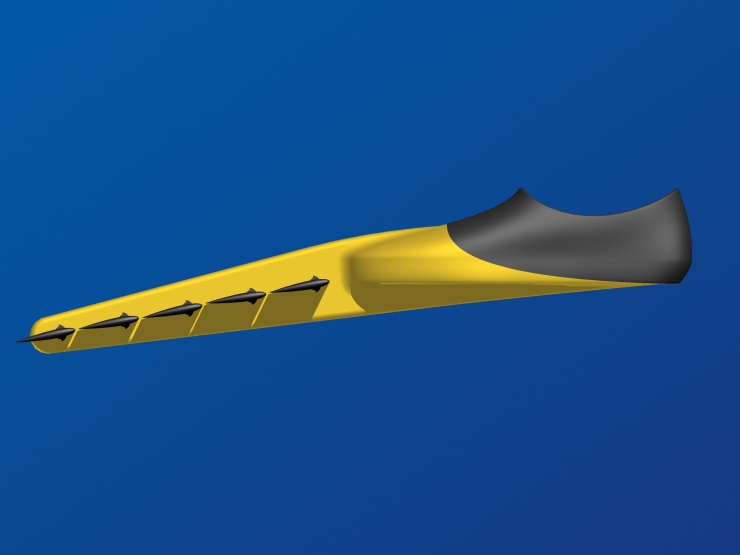 La palme  ailes 41 - Palmaile -