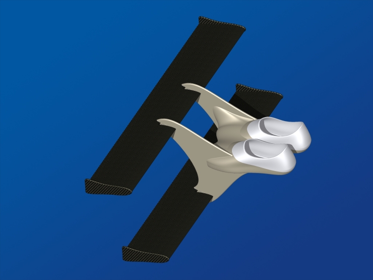 La palme  ailes 46 - Palmaile -