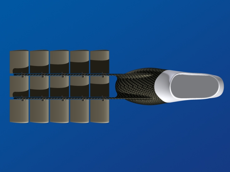 La palme  ailes 47 - Palmaile -