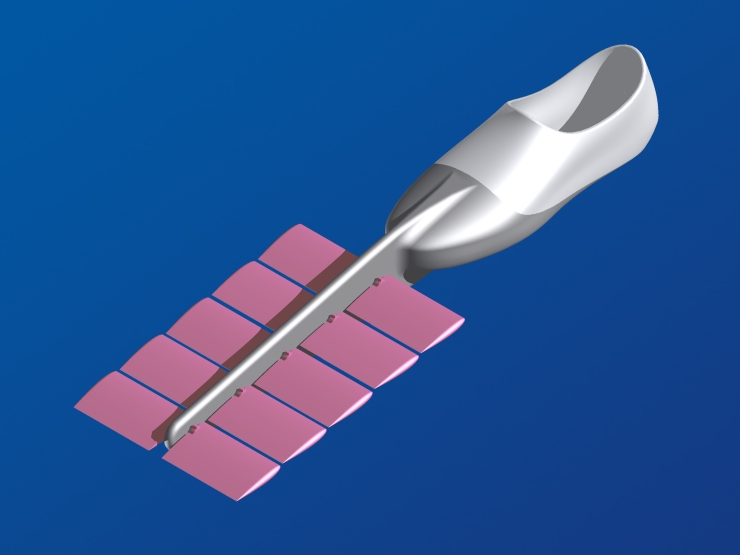 La palme  ailes 51 - Palmaile -