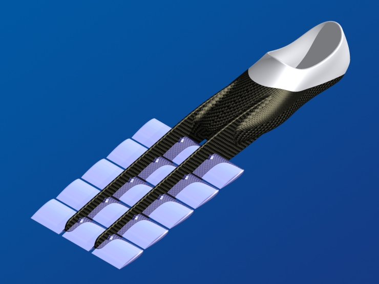 La palme  ailes 52 - Palmaile -