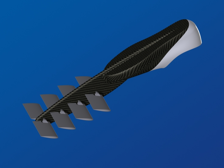 La palme  ailes 53 - Palmaile -