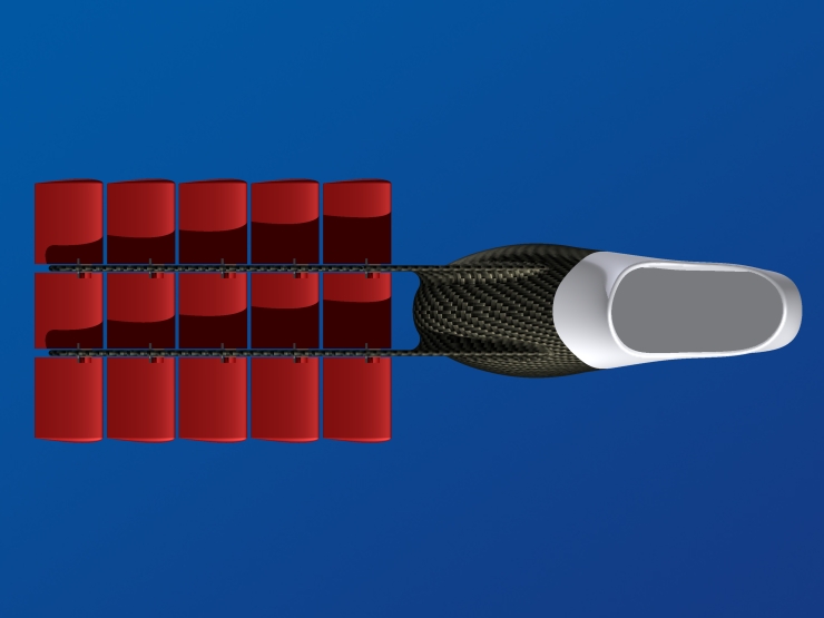 La palme  ailes 55 - Palmaile -