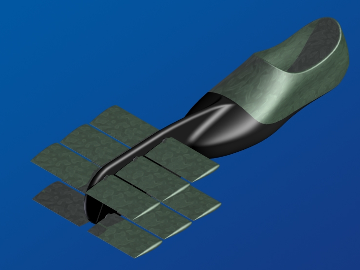 La palme  ailes 57 - Palmaile -