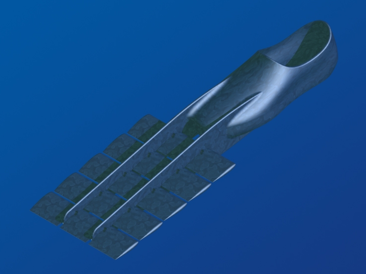 La palme  ailes 58 - Palmaile -