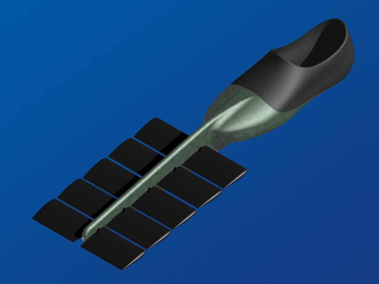 La palme  ailes 59 - Palmaile -