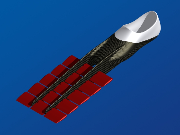 La palme  ailes 6 - Palmaile -