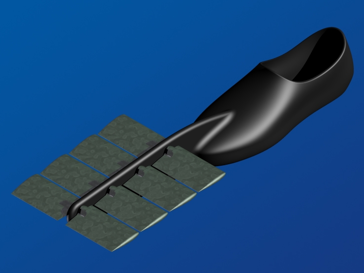 La palme  ailes 61 - Palmaile -