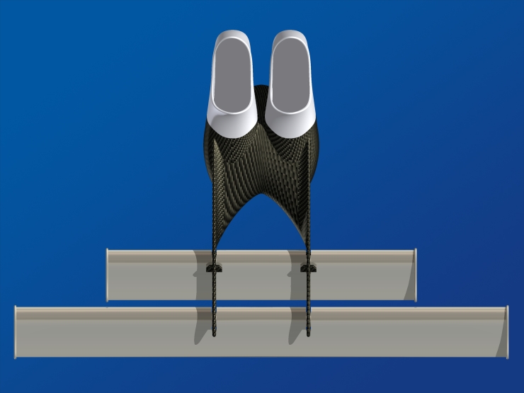 La palme  ailes 62 - Palmaile -