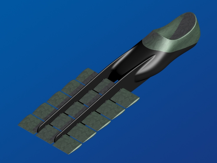 La palme  ailes 63 - Palmaile -