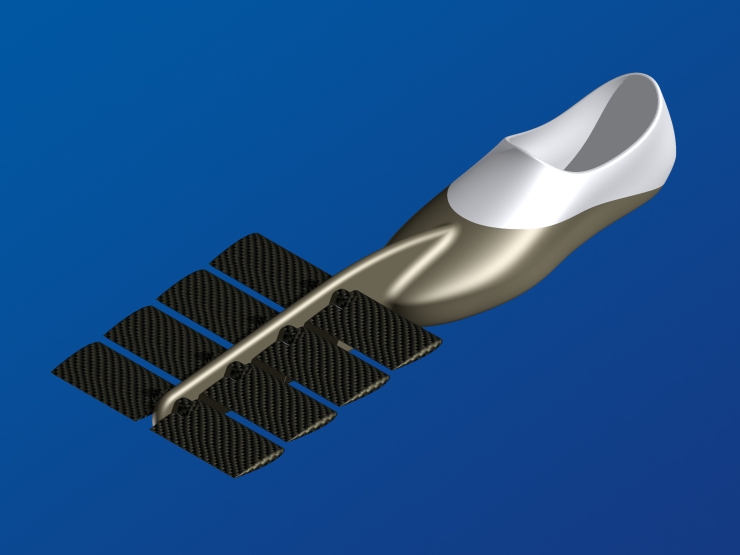 La palme  ailes 7 - Palmaile -