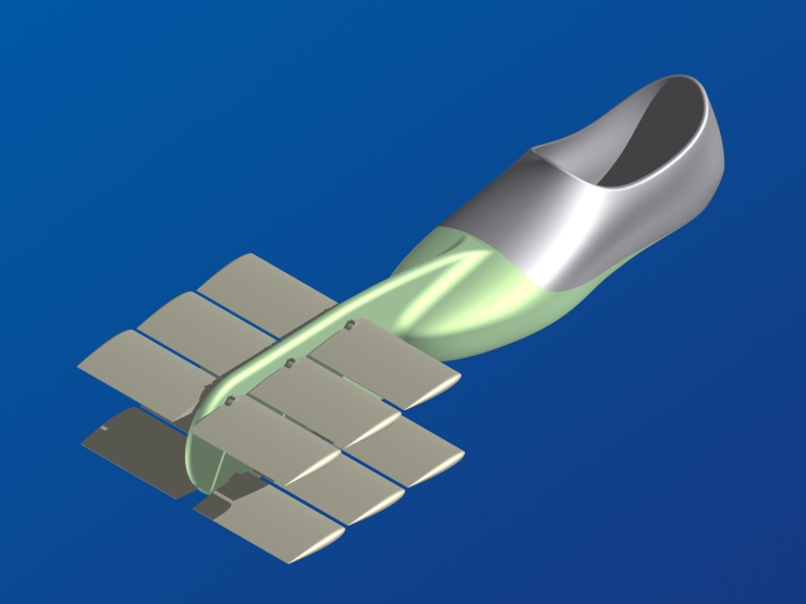 La palme  ailes 8 - Palmaile -