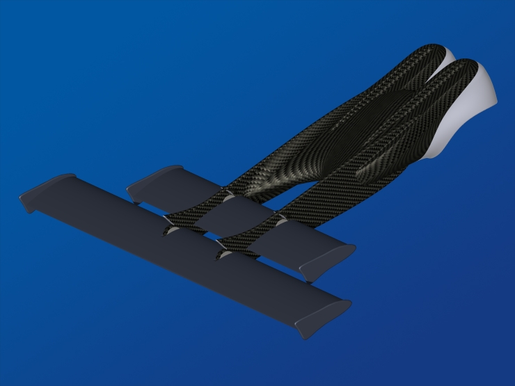 La palme  ailes 9 - Palmaile -