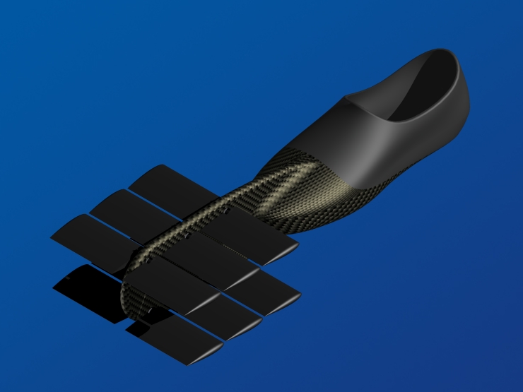 La palme  ailes modle Biplan 1 - Palmaile -