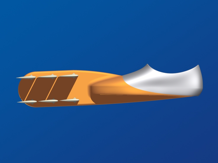 La palme  ailes modle Biplan 2 - Palmaile -