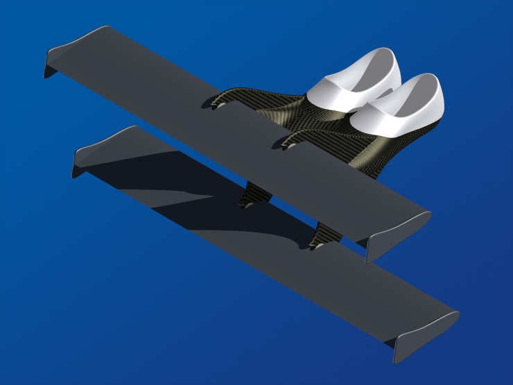 La palme  ailes modle BiMono - Palmaile -