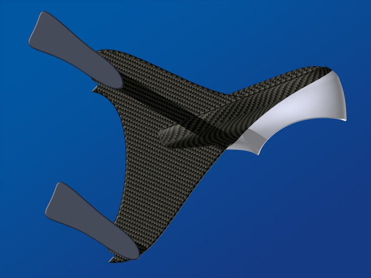 La palme  ailes modle BiMono 2 - Palmaile -