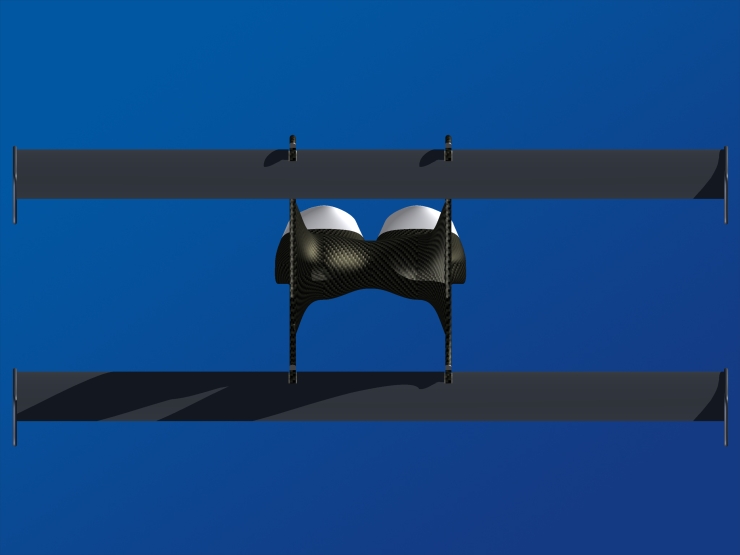 La palme  ailes modle BiMono 3 - Palmaile -