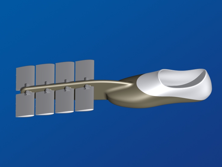 La palme  ailes modle Fun - Palmaile -