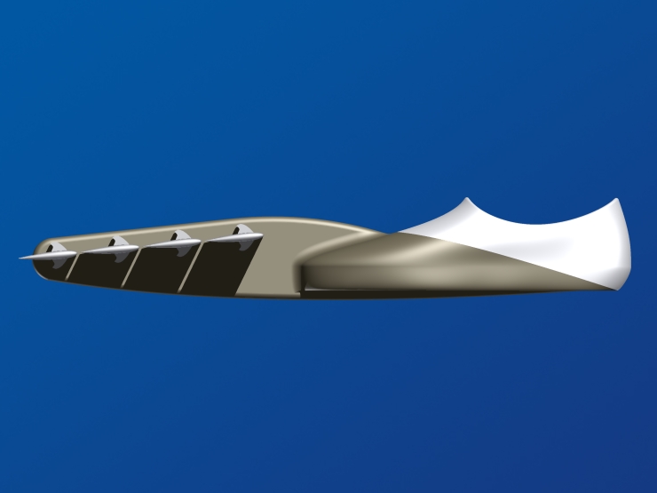 La palme  ailes modle Fun 3 - Palmaile -