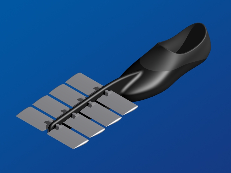 La palme  ailes modle Fun 4 - Palmaile -